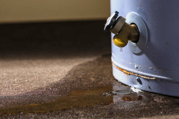 Best Water damage restoration near me  in Canyonville, OR