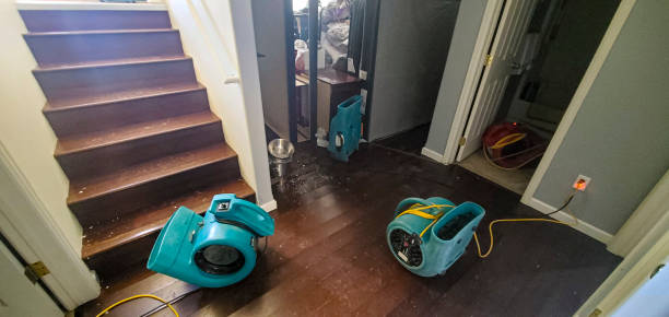 Best Fire Damage Restoration  in Canyonville, OR