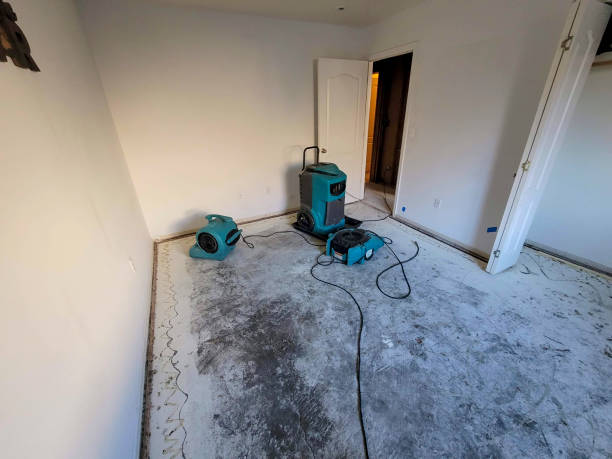 Best Flood restoration services  in Canyonville, OR