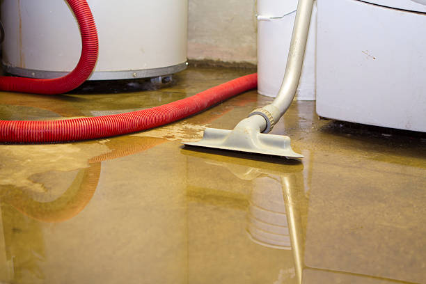 Best Commercial water damage restoration  in Canyonville, OR