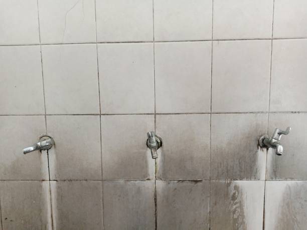 Best Flooded house restoration  in Canyonville, OR