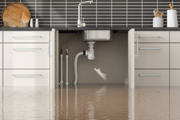 Best Water damage restoration insurance claims  in Canyonville, OR