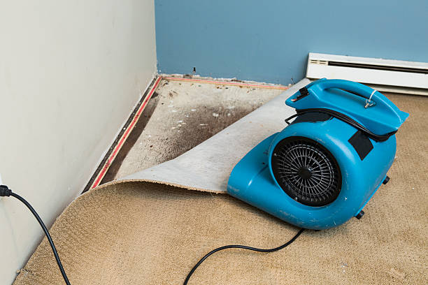 Best Emergency water damage restoration  in Canyonville, OR